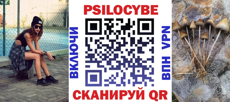 купить наркотики сайты  omg как зайти  Псилоцибиновые грибы мицелий  Миллерово 